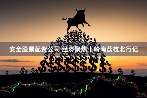 安全股票配资公司 经济聚焦丨岭南荔枝北行记