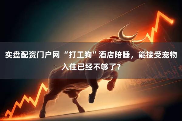 实盘配资门户网 “打工狗”酒店陪睡，能接受宠物入住已经不够了？
