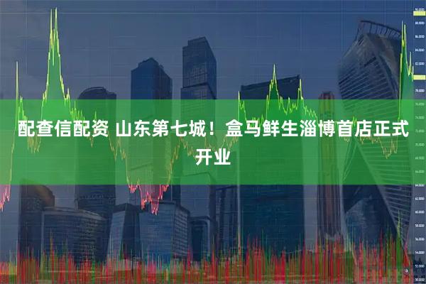 配查信配资 山东第七城！盒马鲜生淄博首店正式开业
